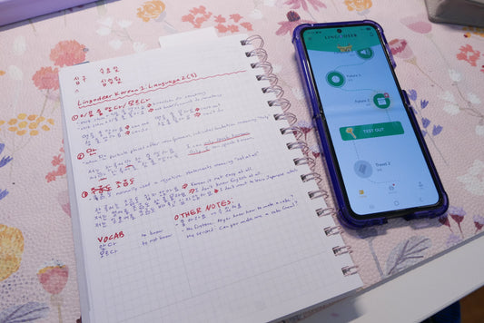 Thoughts about my 2026 "personal curriculum"